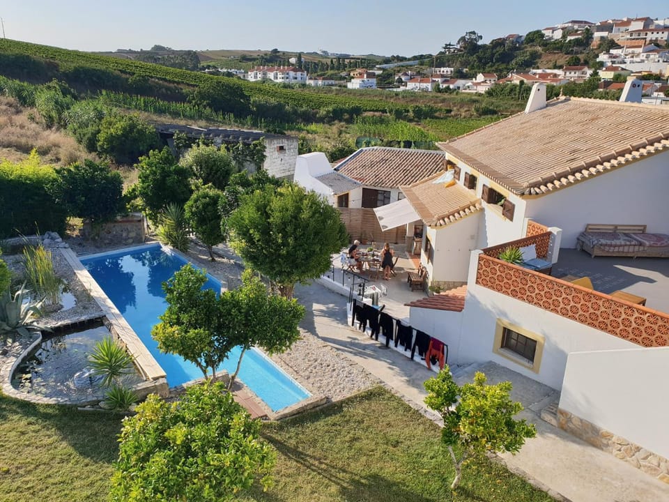 Garden, Pool view, Swimming pool