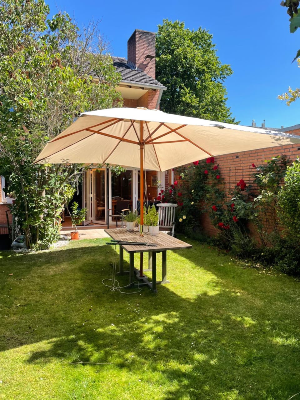 Garden view