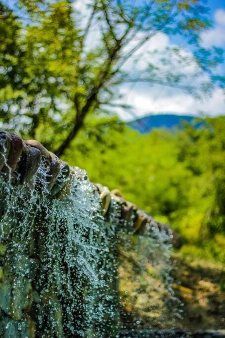 Natural landscape