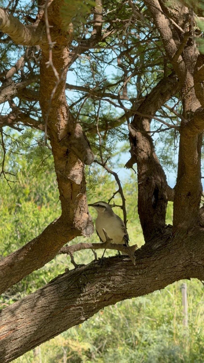Off site, Natural landscape