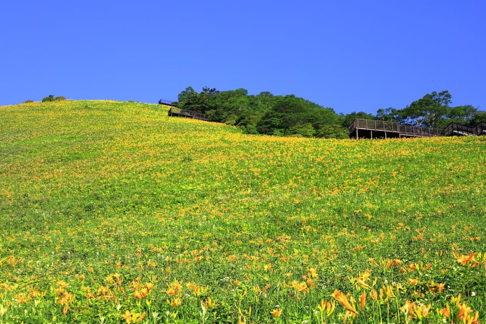 Nearby landmark, Natural landscape, Summer, Hiking