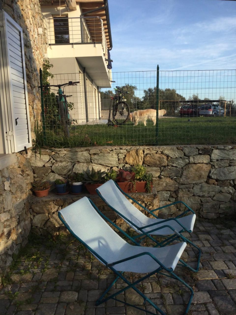 Patio, Garden, Garden view, sunbed
