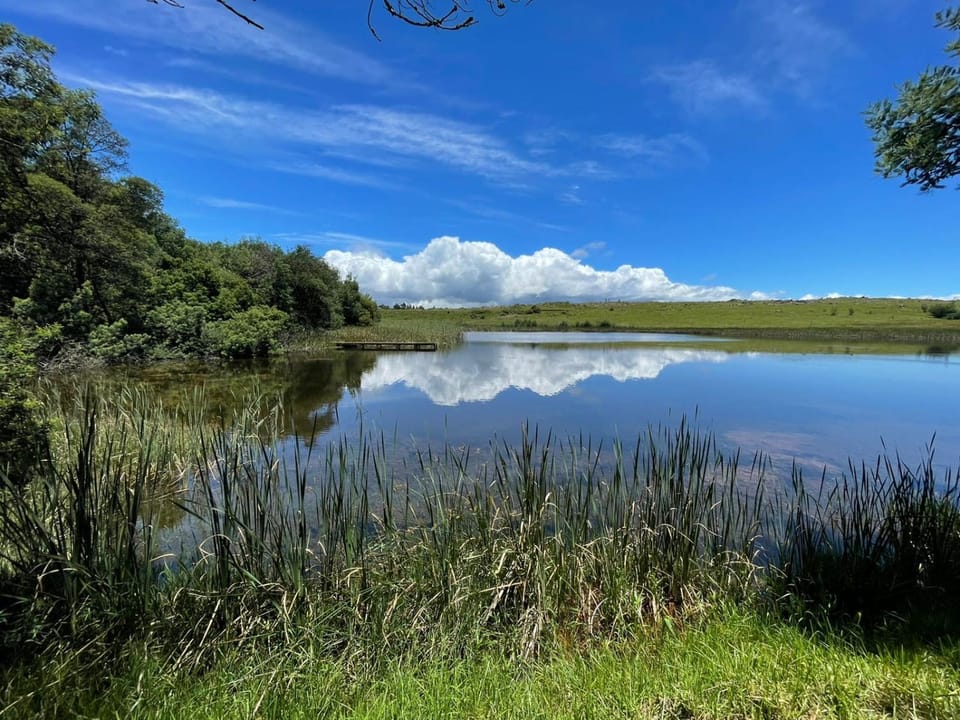 Natural landscape