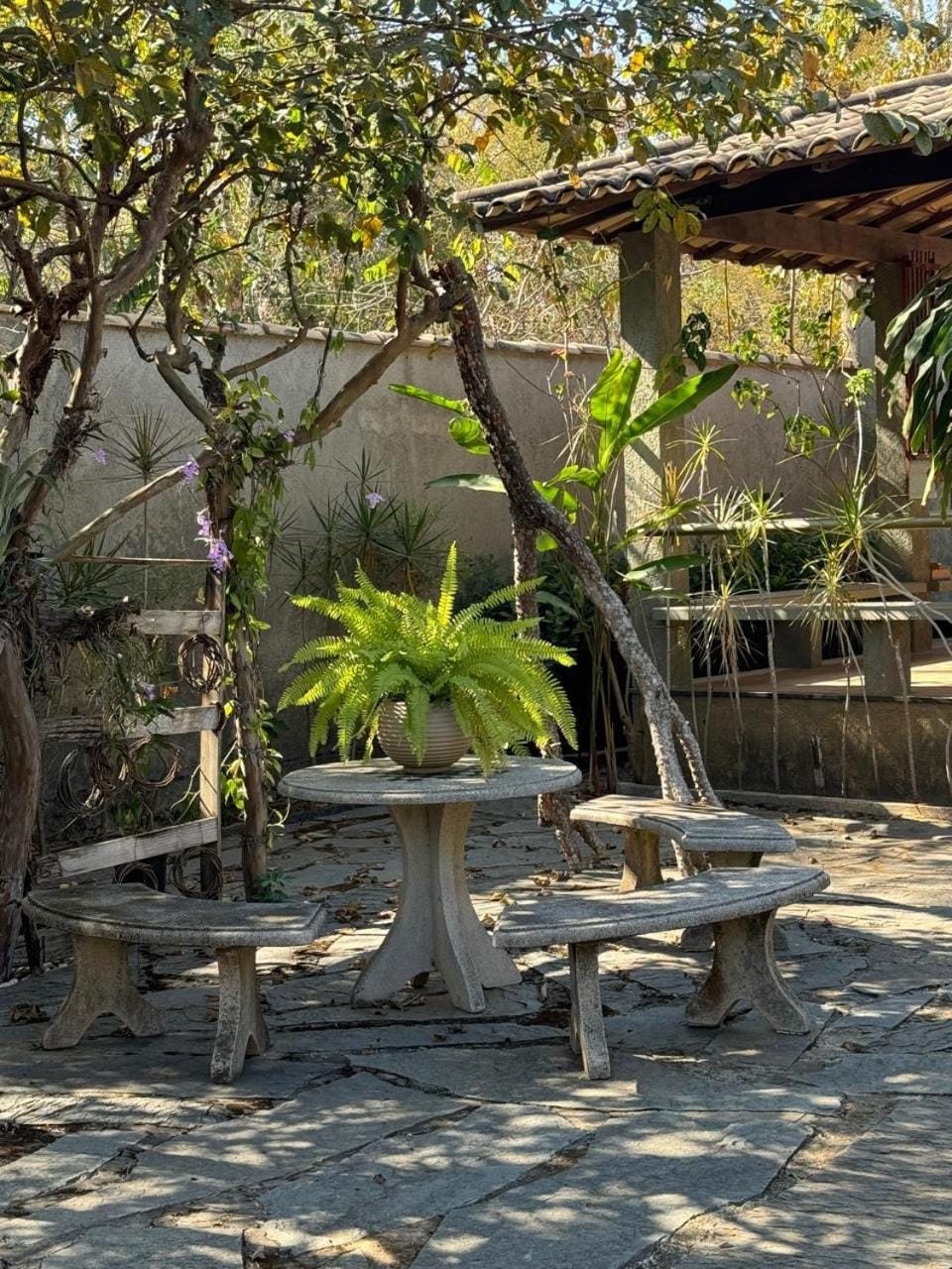 Garden view
