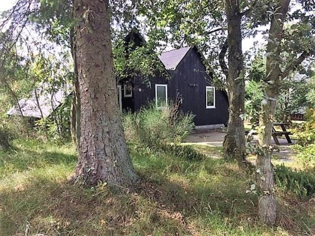 Cozy Holiday cottage at Ringkøbing Fjord Chalet in Hemmet