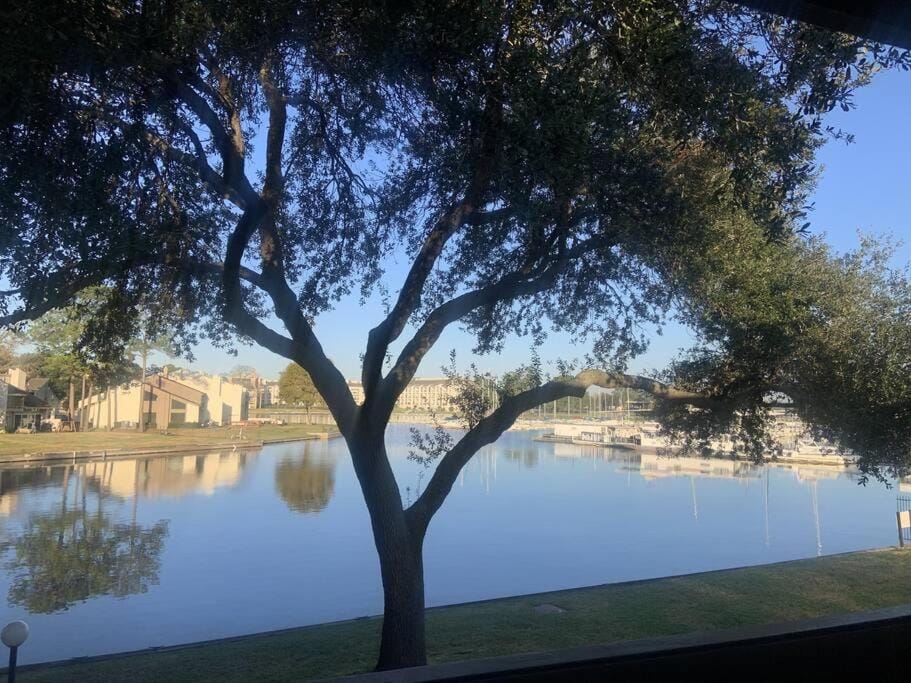 Lakeside Daze! Apartment in Lake Conroe