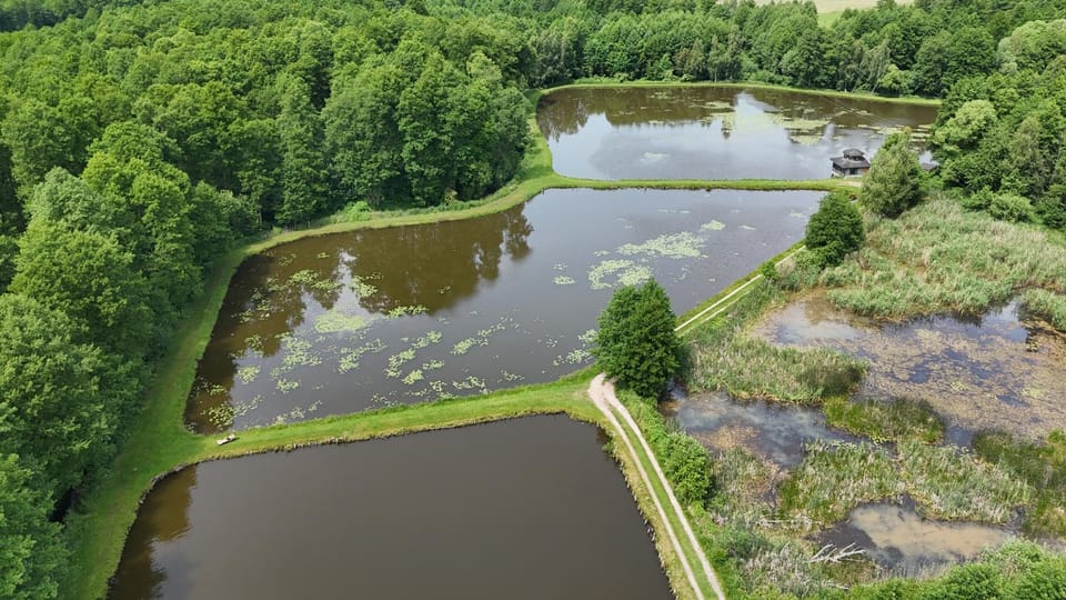 Dom w lesie przy stawach House in Masovian Voivodeship