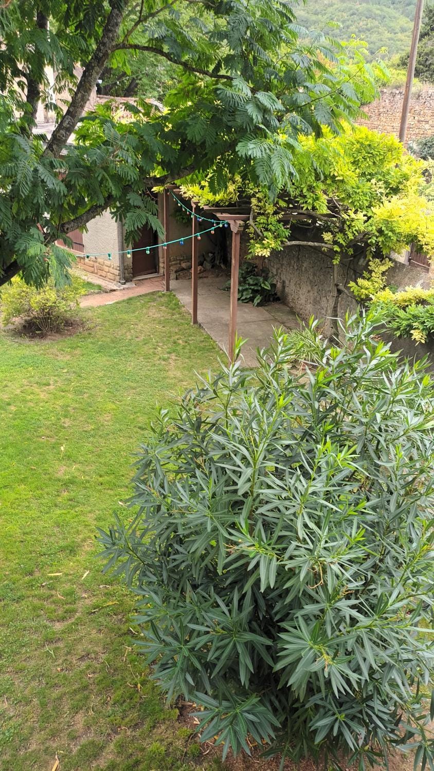 Inner courtyard view