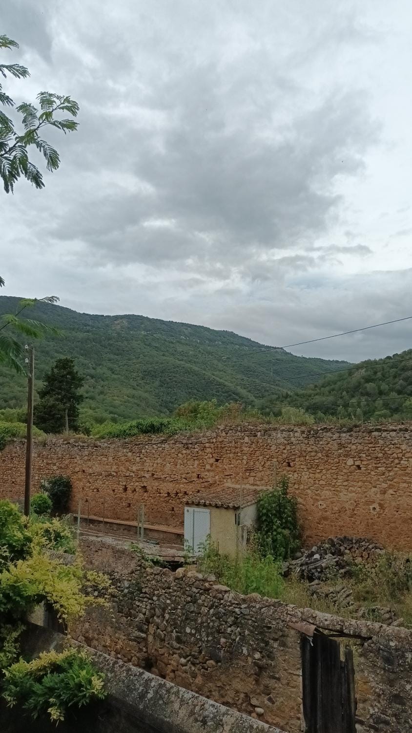Mountain view