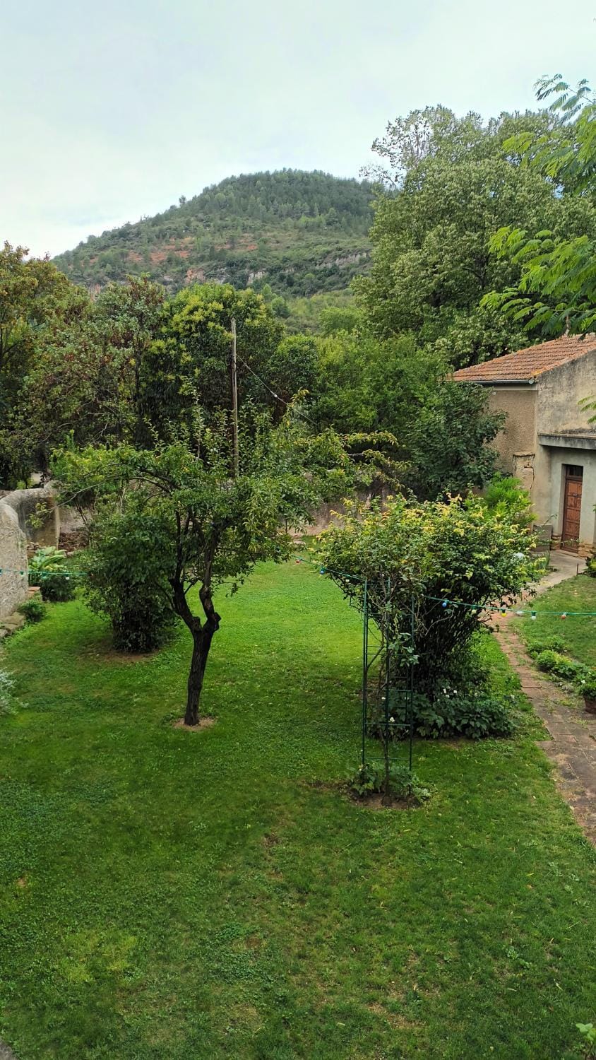 Garden view