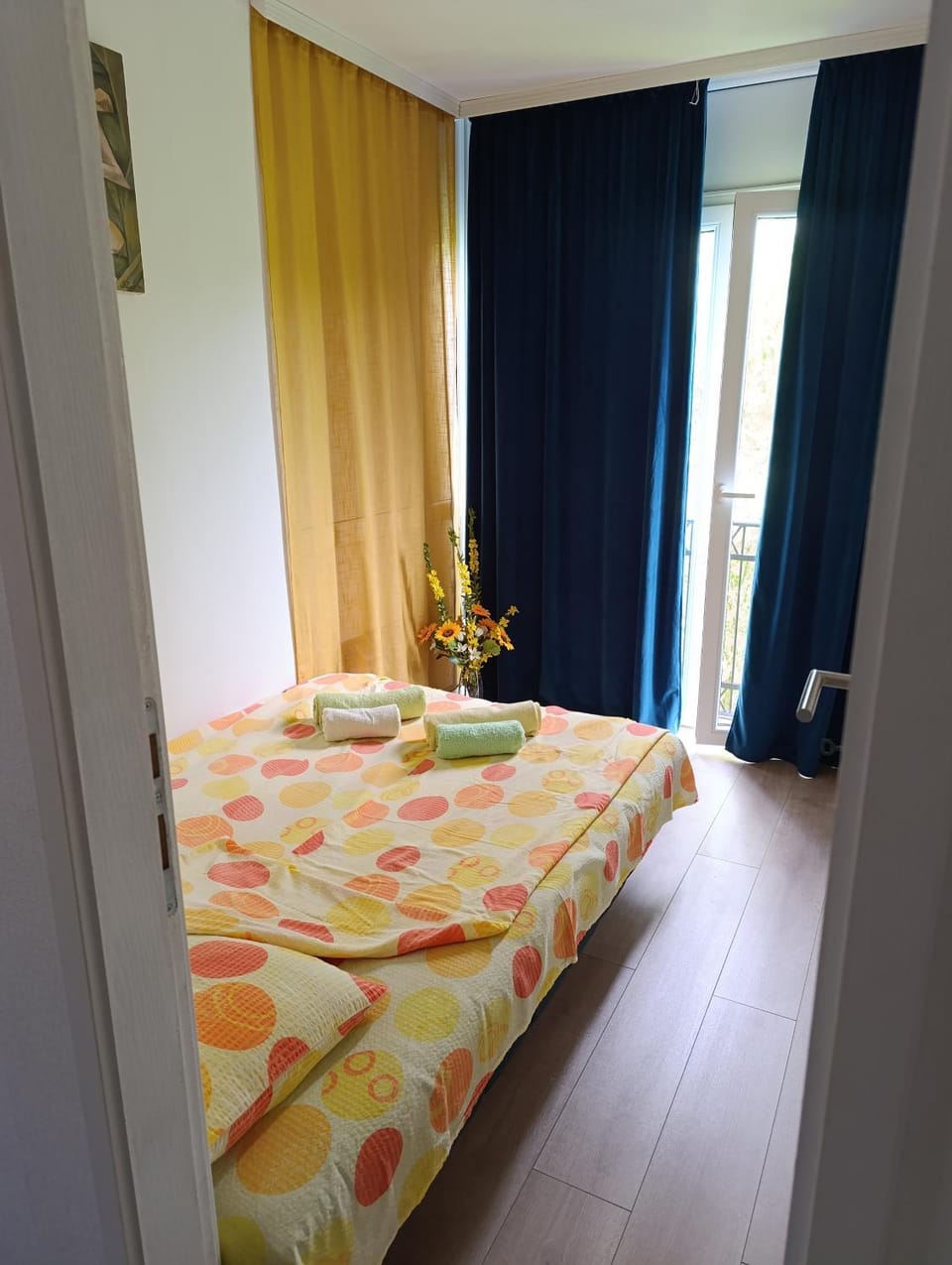 SokoMona Apartment in Serbia