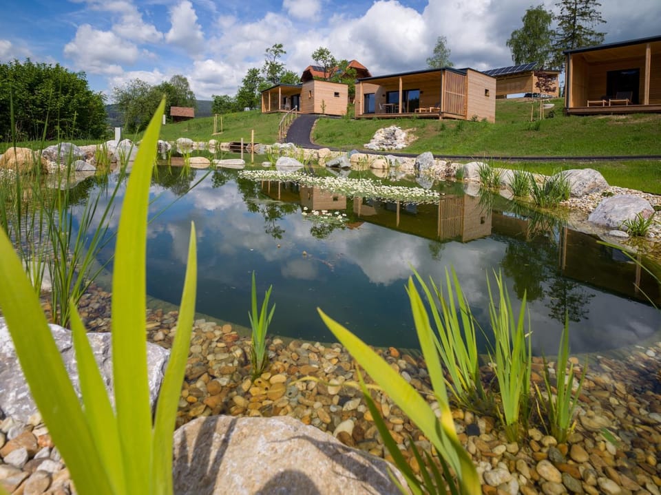 Property building, Spring, Day, Natural landscape, Garden
