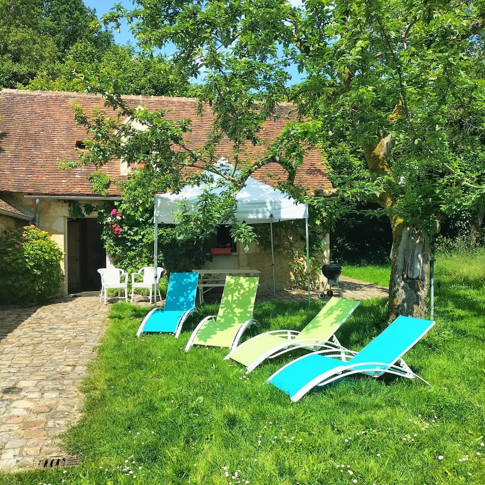 Spring, Day, Natural landscape, Garden, Garden view, sunbed