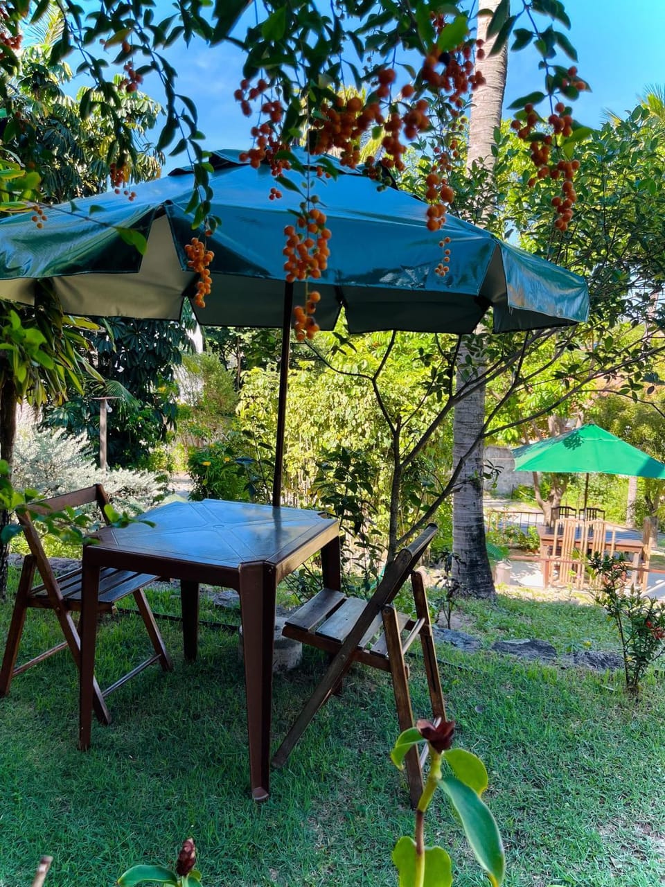 Garden, Garden view