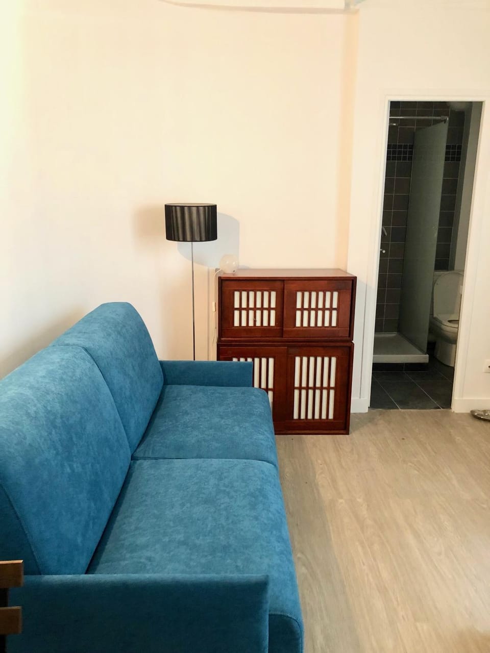Faubourg Saint Martin Apartment in Paris