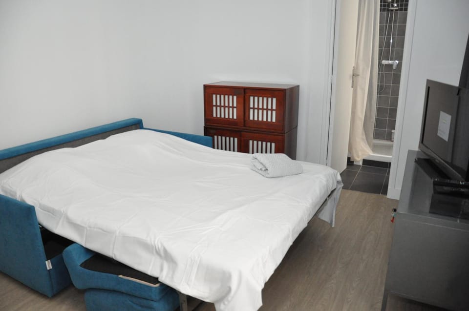 Faubourg Saint Martin Apartment in Paris