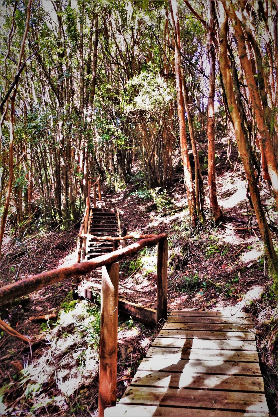 Hiking