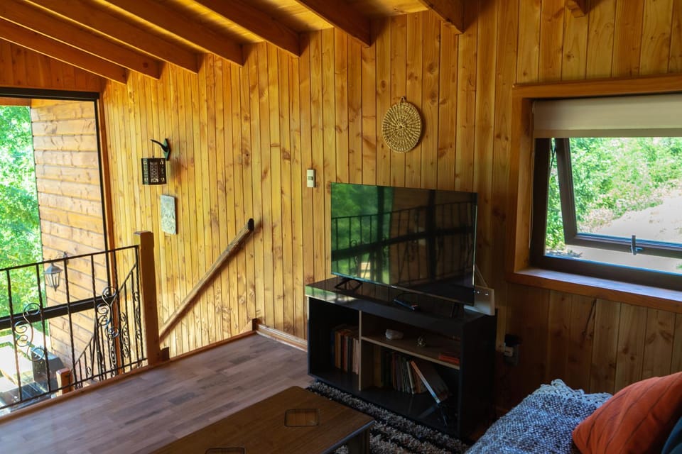 Nidos del Alma Lodge House in Pucon