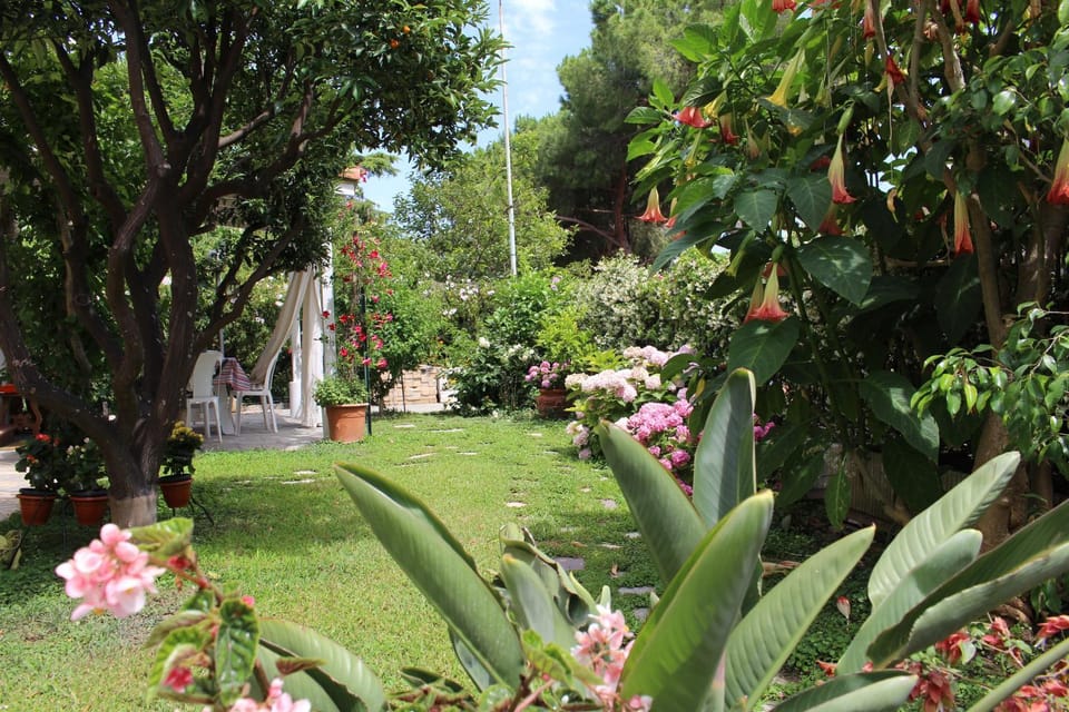 Comodo con giardino e patio Apartment in Sanremo