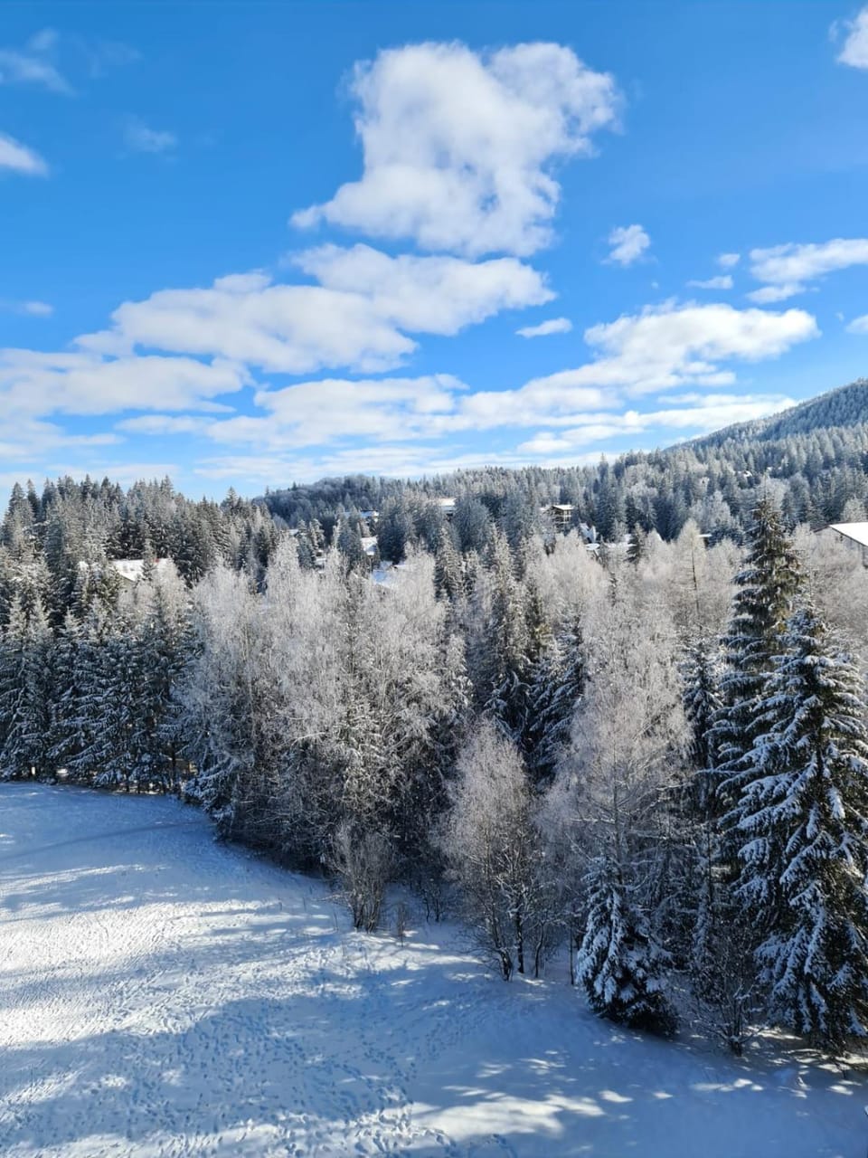 Natural landscape, Winter