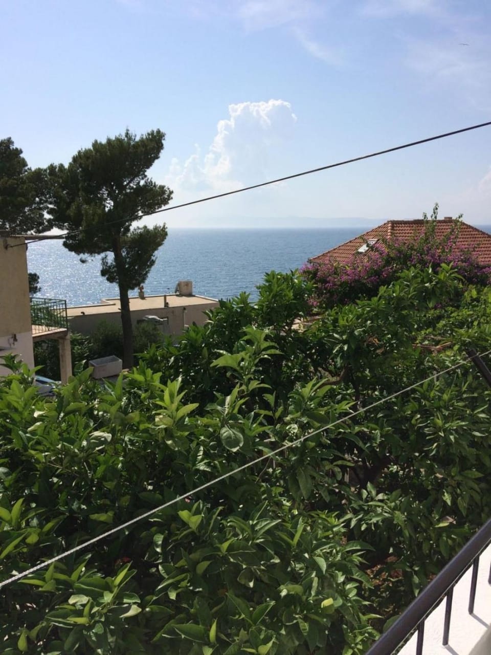 View (from property/room)