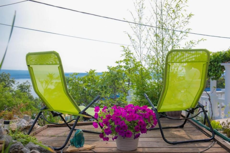 Patio, Garden, Garden view