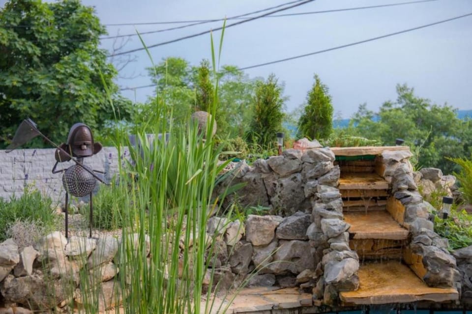 Patio, Garden, Garden view