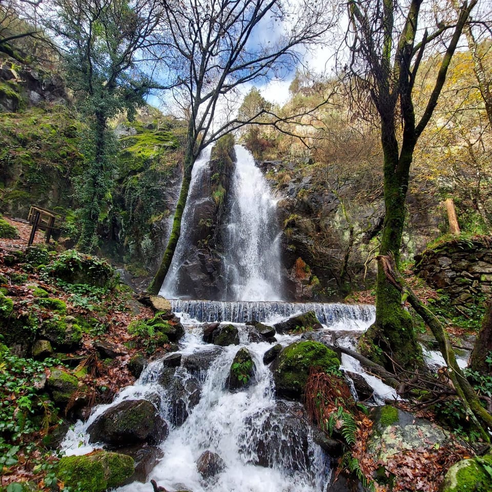 Natural landscape