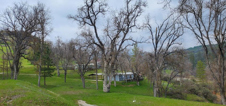 Sequoia Resort Campground/ 
RV Resort in Sierra Nevada