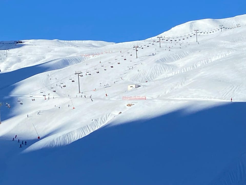 Day, People, Winter, Skiing, group of guests