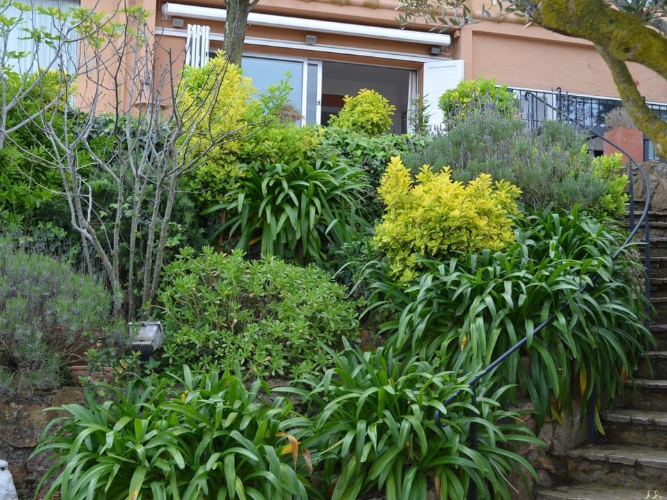Apartament singer Apartment in Baix Empordà
