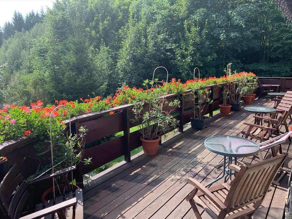 Agropajda Farm Stay in Lower Silesian Voivodeship