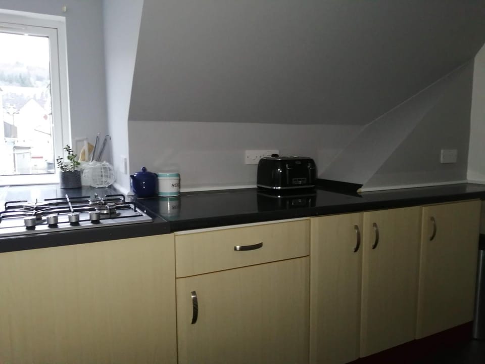 Kitchen or kitchenette, kitchen, kitchen