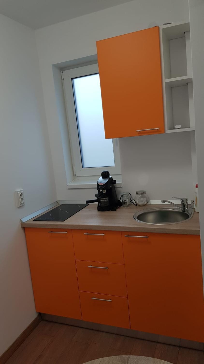 Apartament 2 Budiu Apartment in Romania