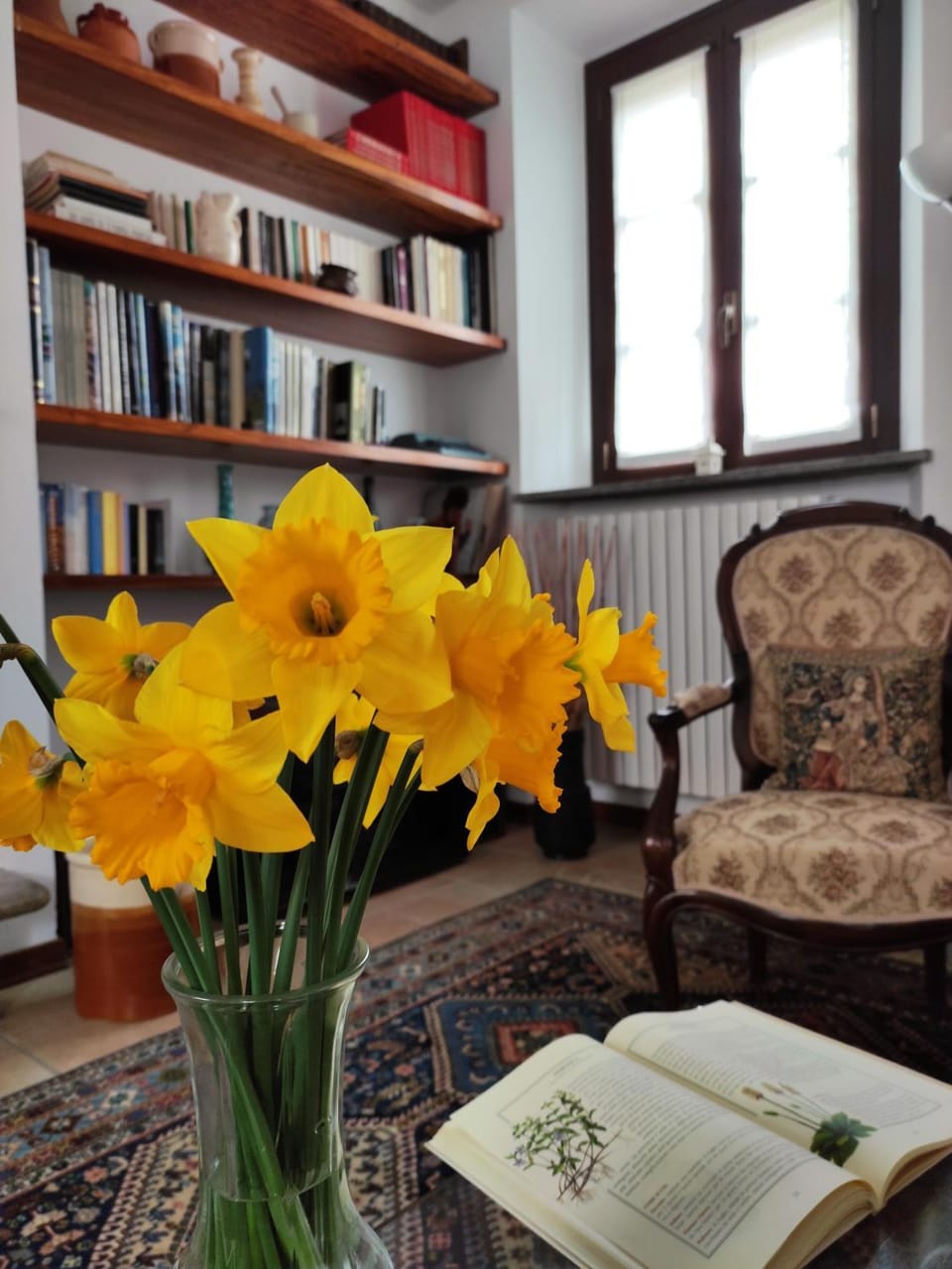 Library, Living room
