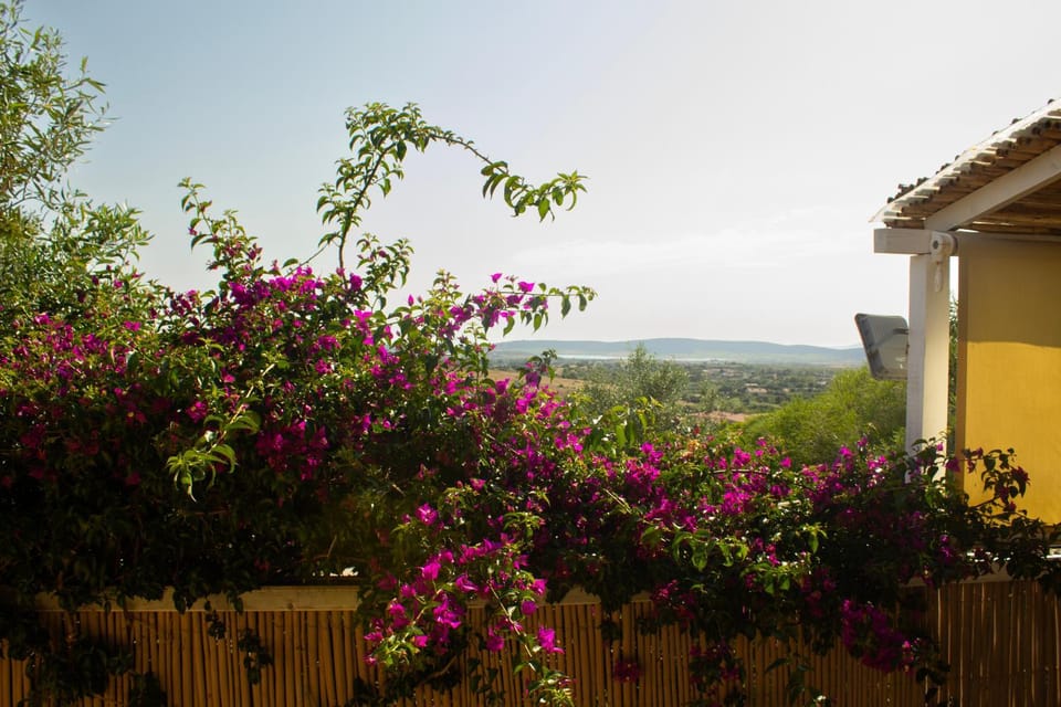 Agriturismo Da Milva - Il Lentischio House in Sardinia