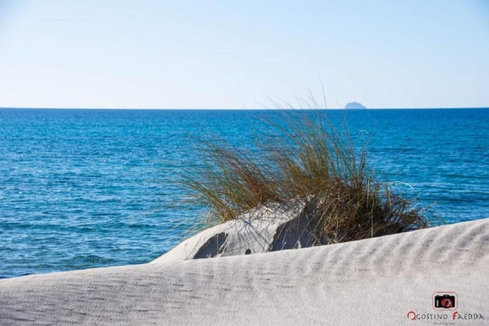 Agriturismo Da Milva - Il Lentischio House in Sardinia