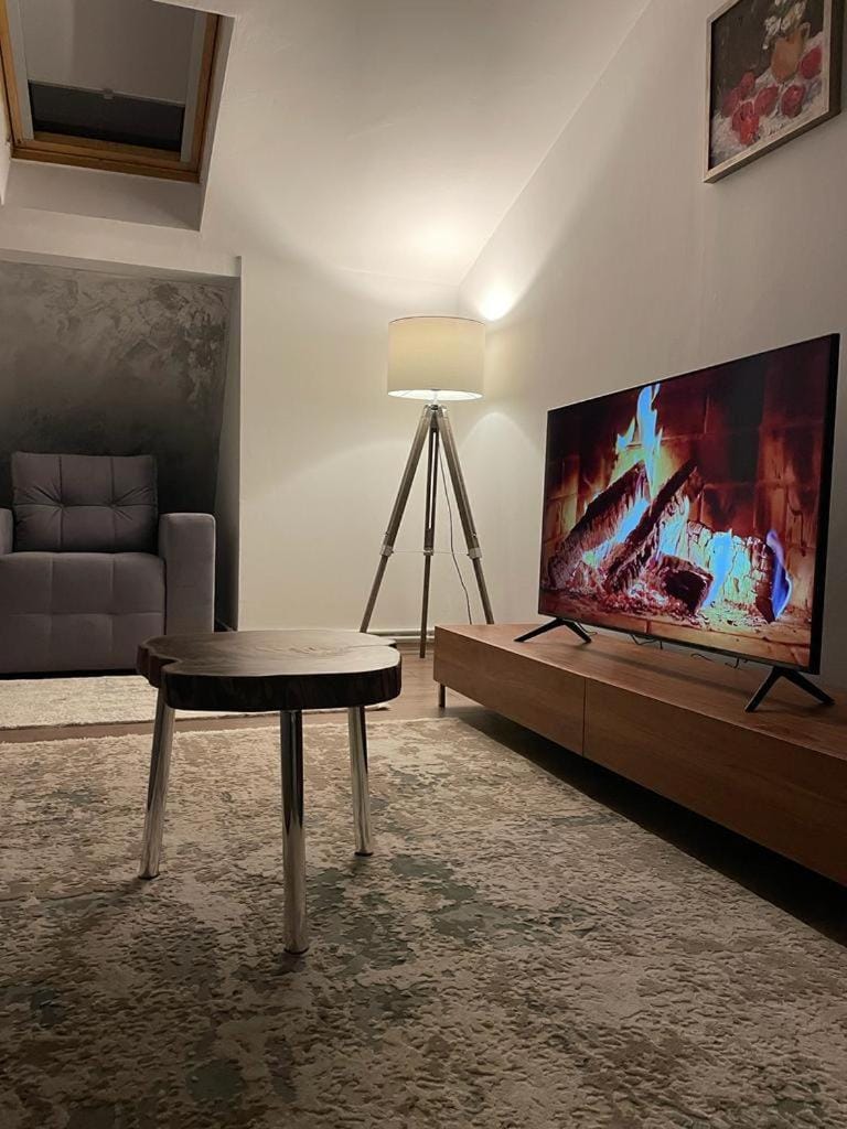 Sofia Loft Apartment in Romania
