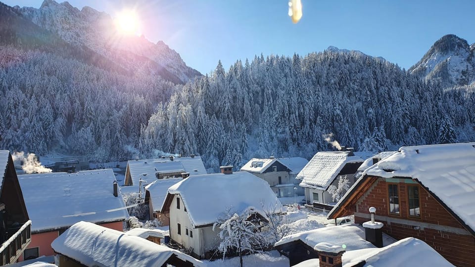 Natural landscape, Winter, View (from property/room)