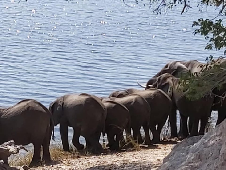 Top Stay Inn Bed and Breakfast in Africa