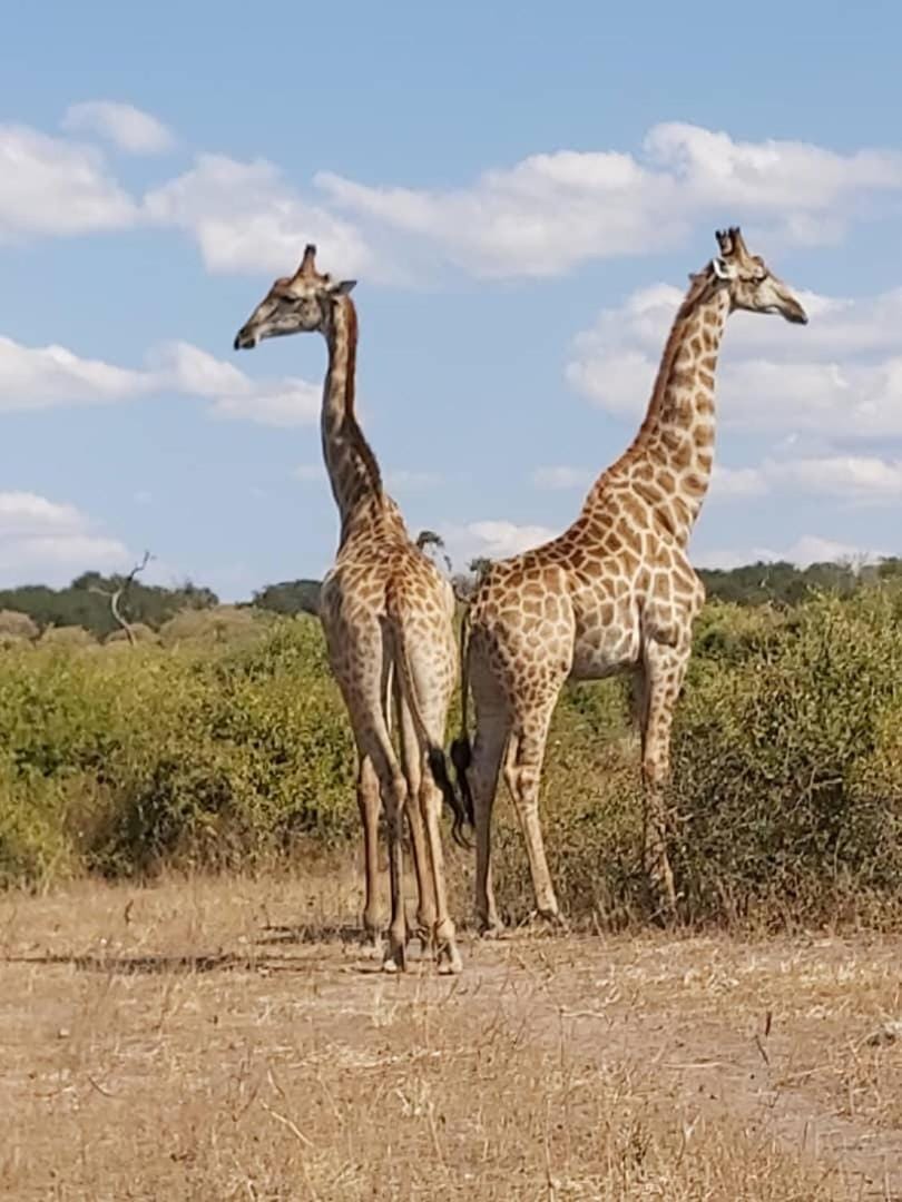 Top Stay Inn Bed and Breakfast in Africa