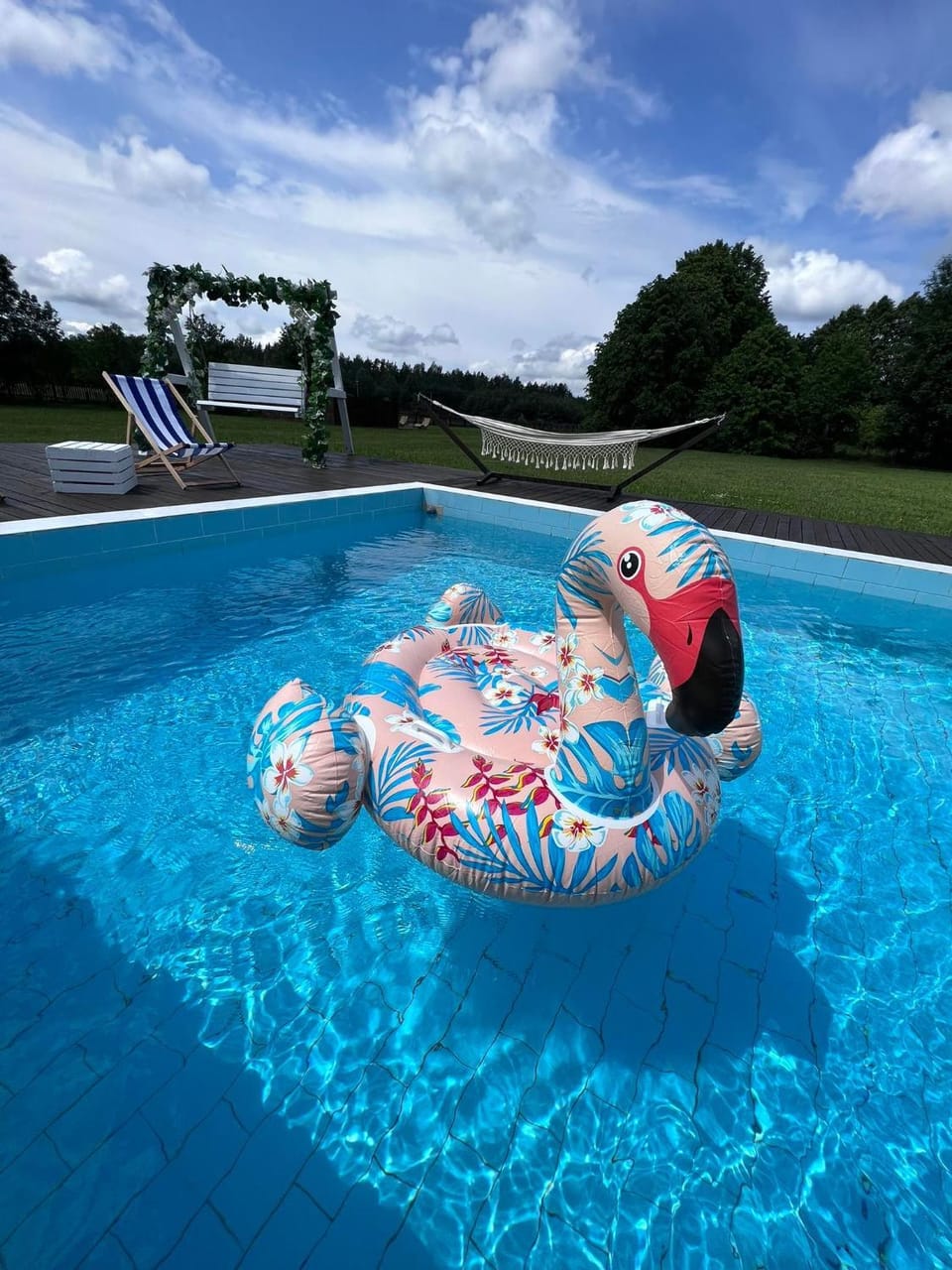 Day, Pool view, Swimming pool, Swimming pool, sunbed