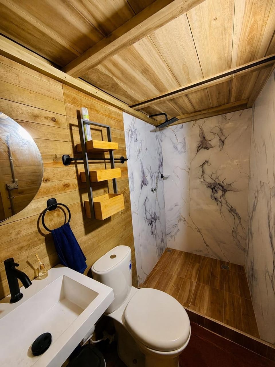 Shower, Toilet, Bathroom