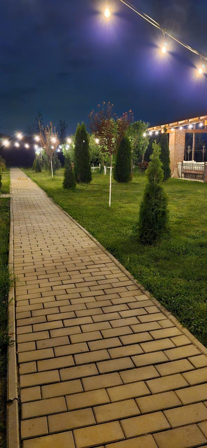 Garden Pypa Nature lodge in Romania