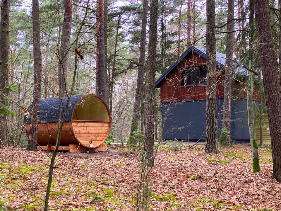 Property building, Garden, Sauna