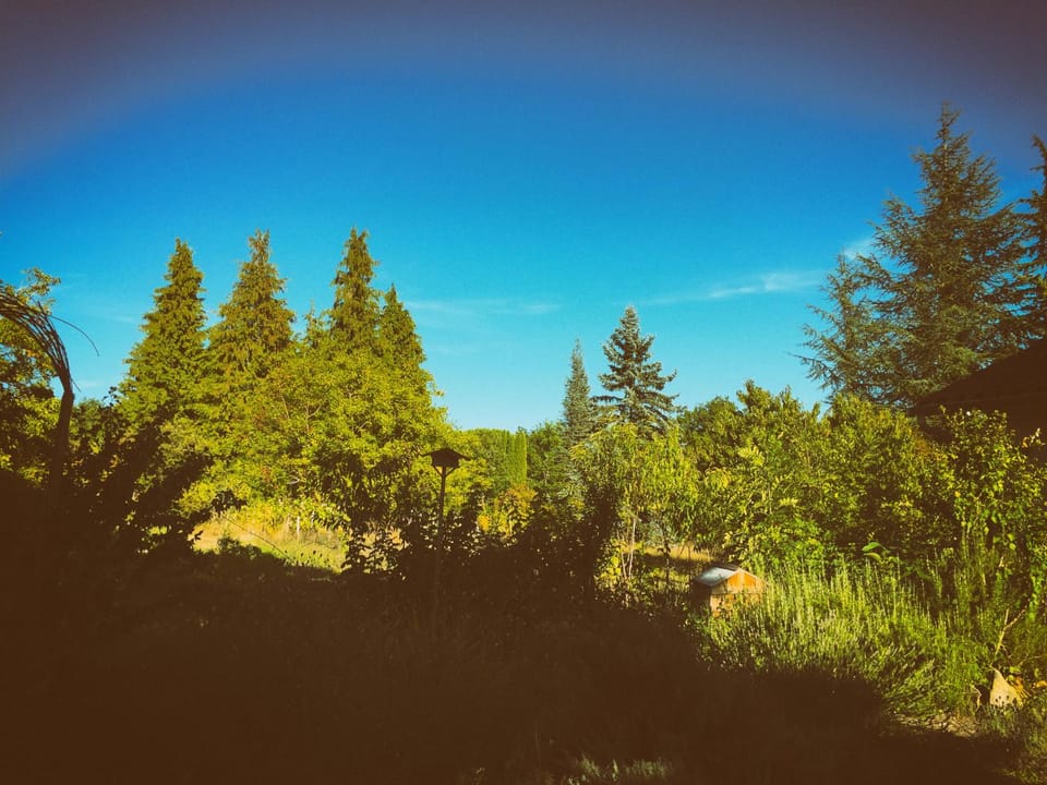 Natural landscape