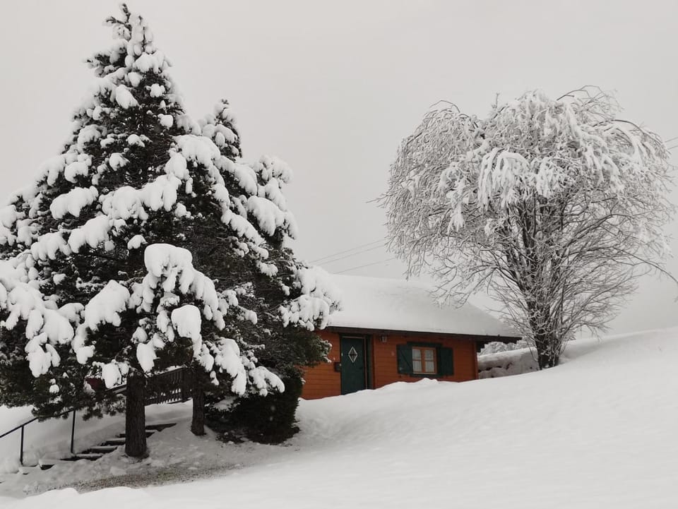 Property building, Winter