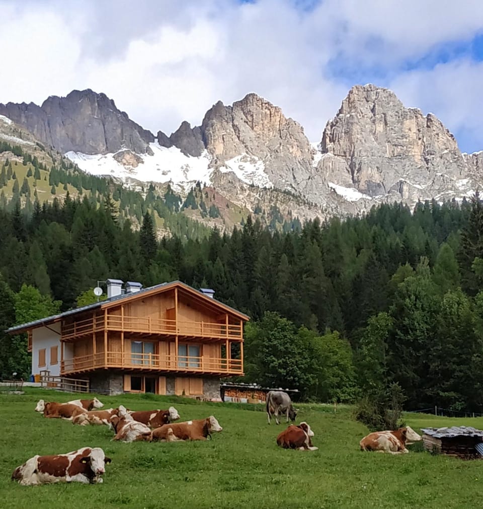 Property building, Natural landscape, Mountain view