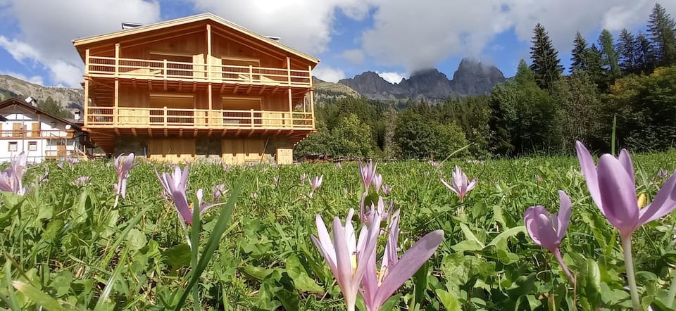 Property building, Natural landscape