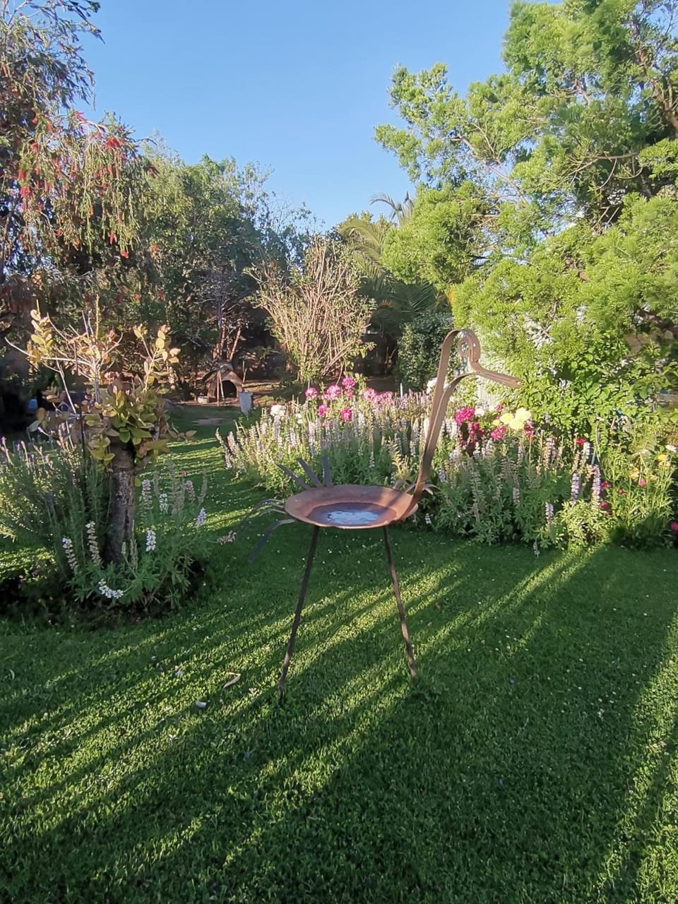 Natural landscape, Garden